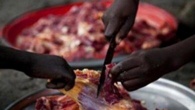 Photo of La filière viande au Mali : Un secteur prometteur délaissé par les autorités