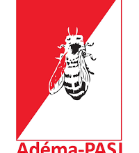 Photo of ASSISES NATIONALES : le parti de l’abeille apport son soutien au processus