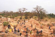 Photo of Kalana : 80% de l’or de l’orpaillage traditionnel vont Burkina Faso