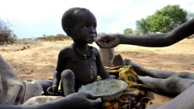 Photo of APPEL D’URGENCE DE SOUTIEN A PLUS DE 3 MILLIONS DE VICTIMES AU MALI : « L’insécurité alimentaire a déjà atteint des niveaux alarmants à Ménaka’’ s’alarme le PAM