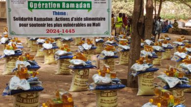 Photo of Mali : L’ONG Alfarouk et Yetim Wakfy offrent 12 millions de FCFA de vivres aux orphelins et veuves de Bamako