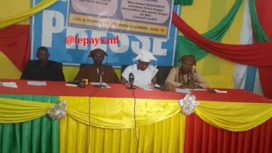 Photo of Déclaration de la Synergie des Associations et Mouvements des Jeunes du Pays Dogon